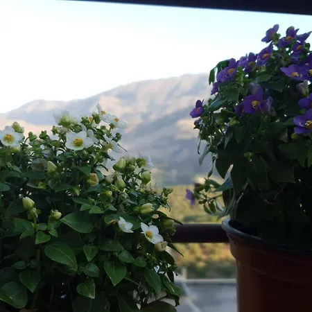 Διαμέρισμα Jasmine - Morfi Village Εξώπολη