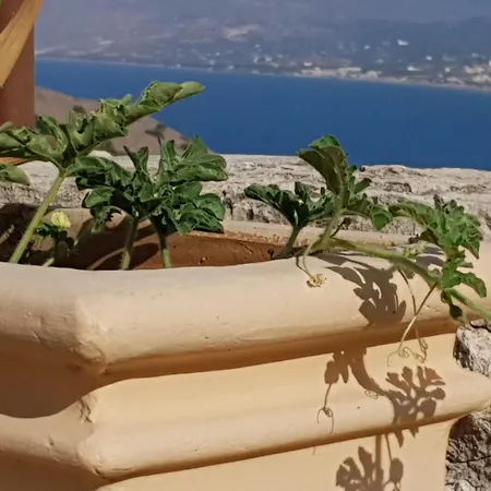 Διαμέρισμα Jasmine - Morfi Village